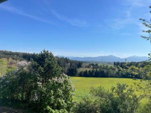 a green field with trees and mountains in the background at Ferienhaus Siedenberg in Manholding