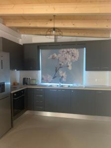 a kitchen with a aquarium with a flower in it at Terpsichore Boutique Appartments in Dassia