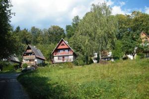 a group of houses on a hill in a field at Cottage IRENA in Giant Mountains in Černý Dŭl