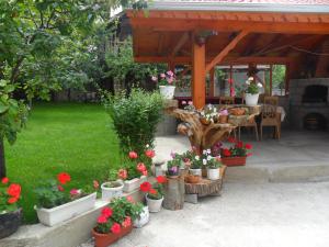 a bunch of flowers in pots in a garden at Vien Guest House in Bansko