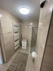 een badkamer met een douche, een toilet en een wastafel bij Akwamaryn apartment in Kołobrzeg