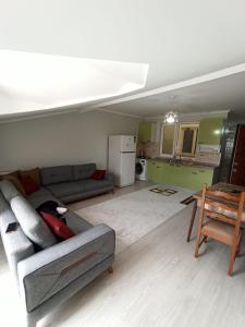 Il comprend un salon avec un canapé et une cuisine. dans l'établissement Dilaver-Apart, à Istanbul