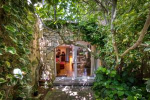 un ingresso a una casa con un albero sulla porta di Gîte Gaia a Poussan