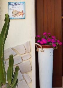 een pot bloemen en een cactus naast een deur bij Sogno Mediterraneo in Formia