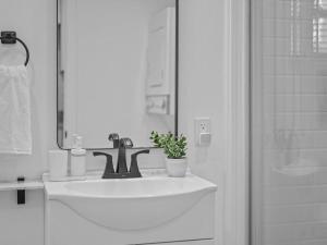 a bathroom with a sink with a potted plant on it at Shadyside, Central !4 Stylish and Central Studio With Free Parking in Pittsburgh +11 photos