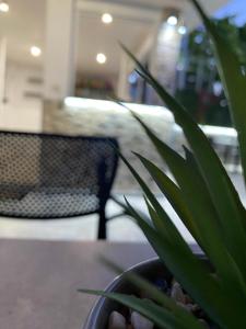 Fotografie z fotogalerie ubytování Villa Rafail v destinaci Ksamil + 37 fotografií