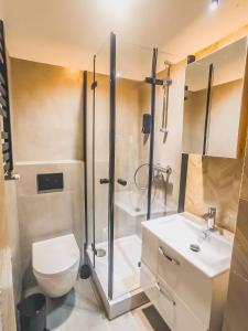 ein Bad mit einer Dusche, einem WC und einem Waschbecken in der Unterkunft Mazurska Apartments in Stettin
