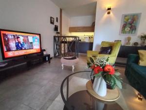 Un televizor și/sau centru de divertisment la Maximilian apartman