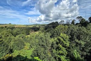 an overhead view of a forest with trees and clouds at Byron Bay Hinterlands Dreaming Woods Cabin Three in Bangalow
