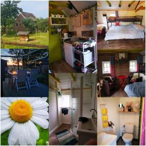 Afbeelding uit fotogalerij van Trekkershut - Tiny House - Hikers cottage in Wijster