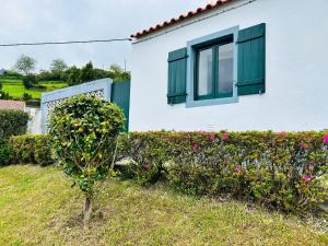 a white house with green windows and a bush of flowers at AL Chalet do Sossego in Senhora da Nazaré