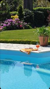 a pool with a table and a glass of wine at Ihre Auszeit am Golfplatz in Meisdorf
