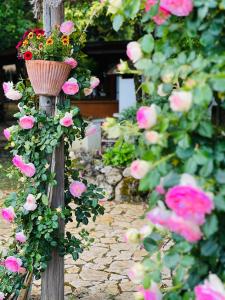un ramo de flores rosas en un poste de madera en Le case di Lisetta Holiday homes en Corciano