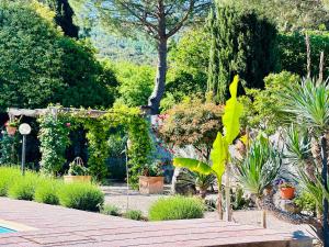 un jardín con un montón de plantas y árboles en Le case di Lisetta Holiday homes en Corciano