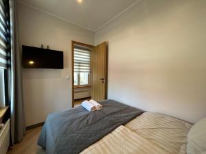 1 dormitorio con 1 cama y TV de pantalla plana en Jon´s 2 Apartments en Pärnu