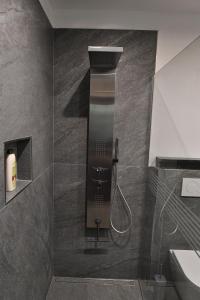 a bathroom with a shower with a toilet and a sink at Chalet Aquila - Chalet Maso Vecchio fra le montagne del Trentino in Castello Tesino