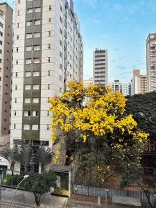 a yellow tree in a city with tall buildings at Apê Curitiba I Familiar, tranquilo e sossegado in Belo Horizonte