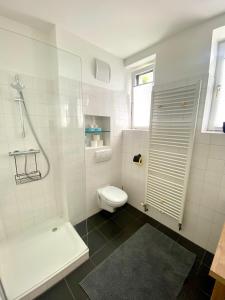 ein weißes Bad mit einem WC und einer Dusche in der Unterkunft Kremslodge in Krems an der Donau