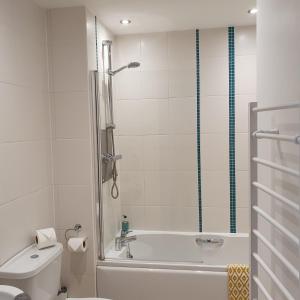 een badkamer met een douche, een bad en een toilet bij A Superb One Bed Apt In The Heart Of The City in Nottingham