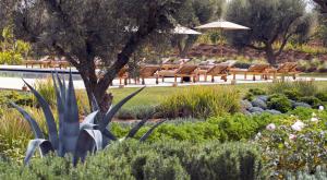 Jardin de l'établissement The Source Hotel Music & Spa