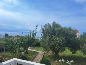 a view of a garden with trees and grass at Apartments Donadic I, Caska in Novalja