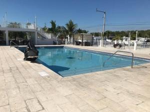 Kolam renang di atau dekat dengan Little slice of heaven right in key largo