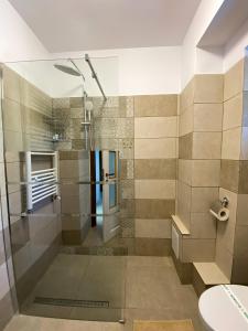 a bathroom with a shower and a sink at B residence - Apartment B in Iaşi