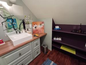 a bathroom with a sink and a counter top at la pause zen in Saint-Georges-sur-Cher