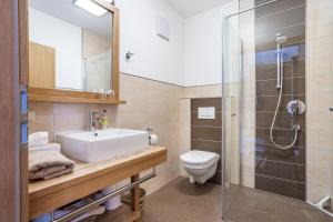 uma casa de banho com um WC, um lavatório e um chuveiro em Feriennest Leitner em Maria Alm am Steinernen Meer