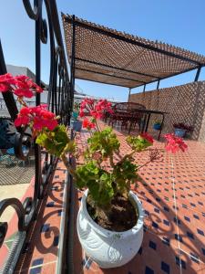 Balkoni atau teres di Dar Ayoub