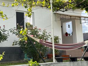 Afbeelding uit fotogalerij van Country House Hățăgel in Hăţăgel