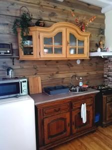 a kitchen with wooden walls and a sink and a microwave at STĀRĶA APARTAMENTI in Kuldīga