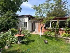 a house with a yard with a tree in front of it at Casa La Românaș in Tuzla