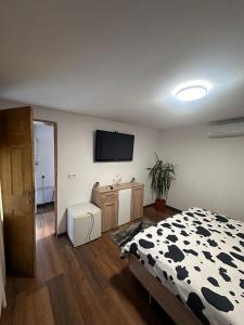 Postel nebo postele na pokoji v ubytování Casa La Românaș + 26 fotografií