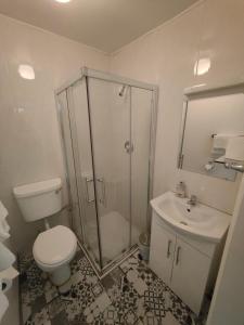 un bagno con doccia, WC e lavandino di Station View Tavern a Cork