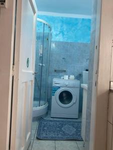 a bathroom with a washing machine and a shower at Comaniciu Sorin in Făgăraş