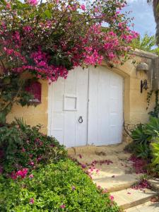 Zahrada ubytování Gozo Holiday Home -Tranquil and Serene + 11 fotografií