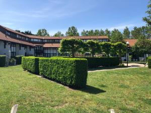 a row of hedges in front of a building at Crevette, vakantiehuis voor 6 personen in Middelkerke