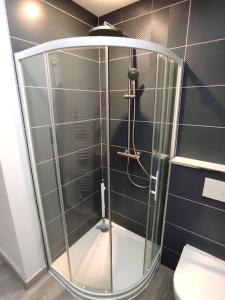 a glass shower in a bathroom with a toilet at Studio 28 À l'orée de l'eau in Cloyes-sur-le-Loir +9 photos