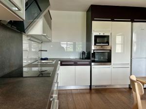 Kuchyň nebo kuchyňský kout v ubytování Apartmány Strážnice
