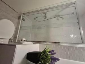 een douche in een badkamer met een plant ernaast bij Apartment Anic in Bol