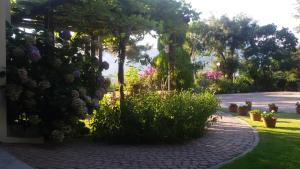 Fotografie z fotogalerie ubytování Villa Dimitra v destinaci Skala Potamias