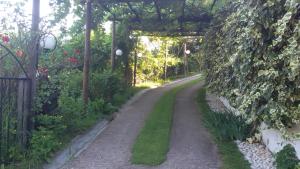Fotografie z fotogalerie ubytování Villa Dimitra v destinaci Skala Potamias