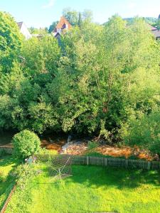 Paesaggio naturale nelle vicinanze dell'appartamento