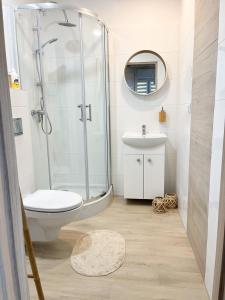 a bathroom with a shower and a toilet and a sink at Domek Na Wzgórzu in Dubiecko