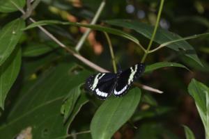 Galeriebild der Unterkunft El Manantial- Cabaña Alas de Cristal in Isnos
