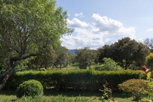 un parque con arbustos y árboles al fondo en VILLA PROVENCALE FACE AU LUBERON, en Cabrières-dʼAvignon