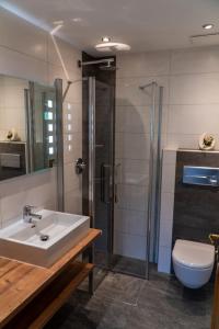 ein Bad mit einem Waschbecken, einer Dusche und einem WC in der Unterkunft Appartement Höll in Wagrain