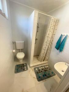 a bathroom with a toilet and a shower and a sink at Bronz apartman in Siófok