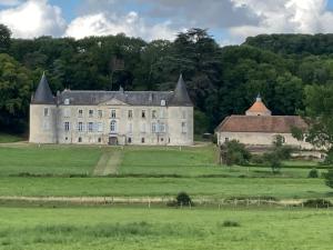 un viejo castillo en medio de un campo en Château de Beaujeu, en Sens-Beaujeu